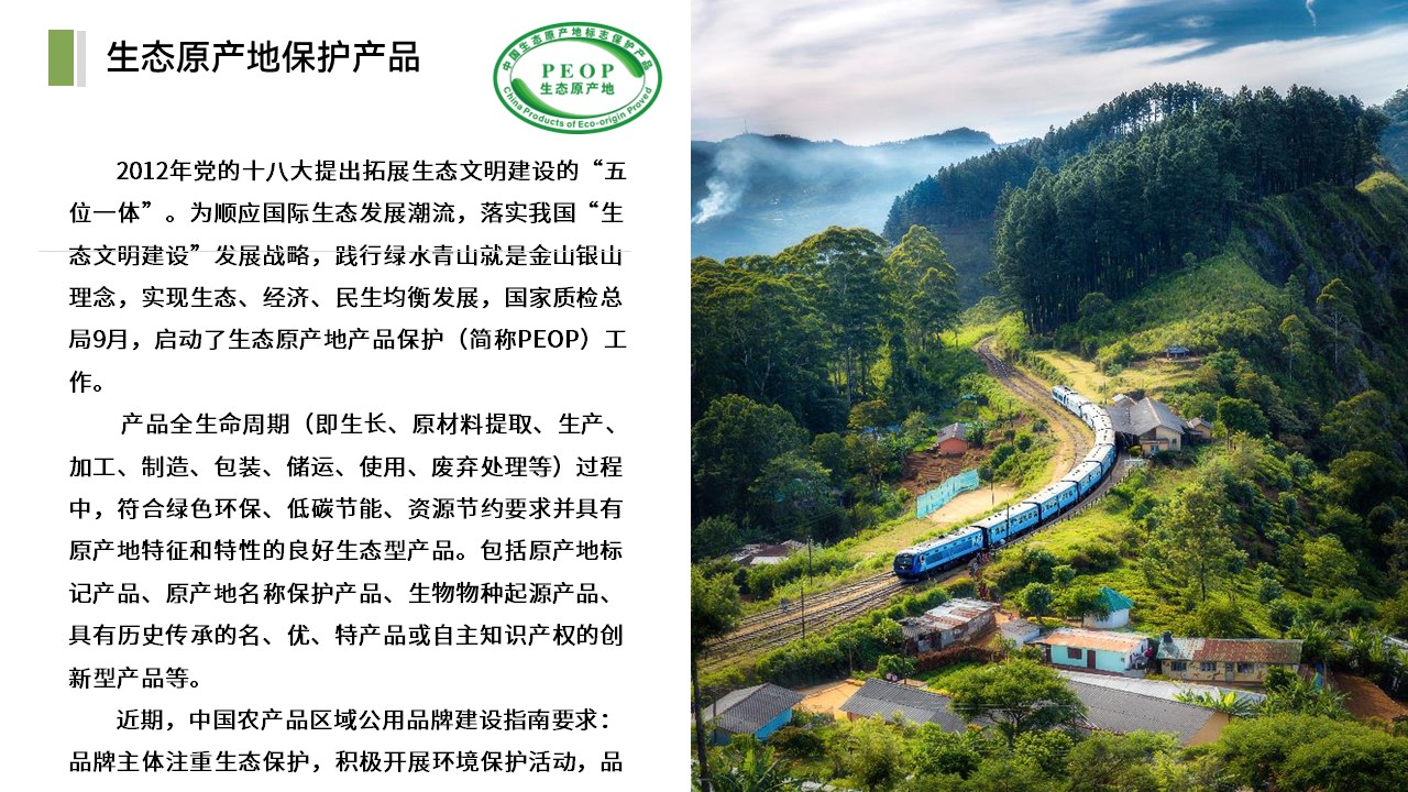 幻灯片22.JPG