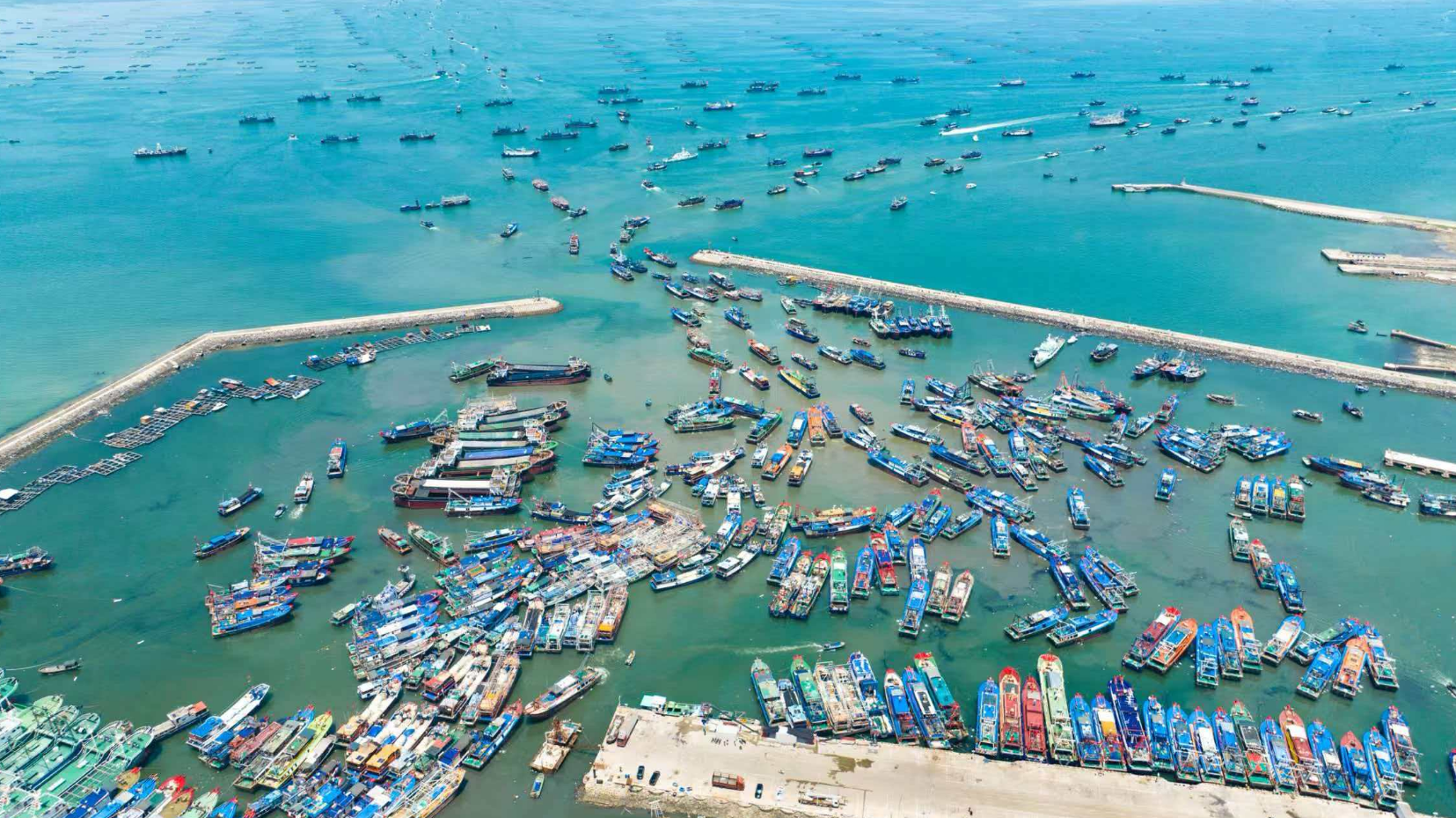 “中国生态深海鱼都”生态产品区域 公用品牌培育座谈会在临高县新盈镇举行